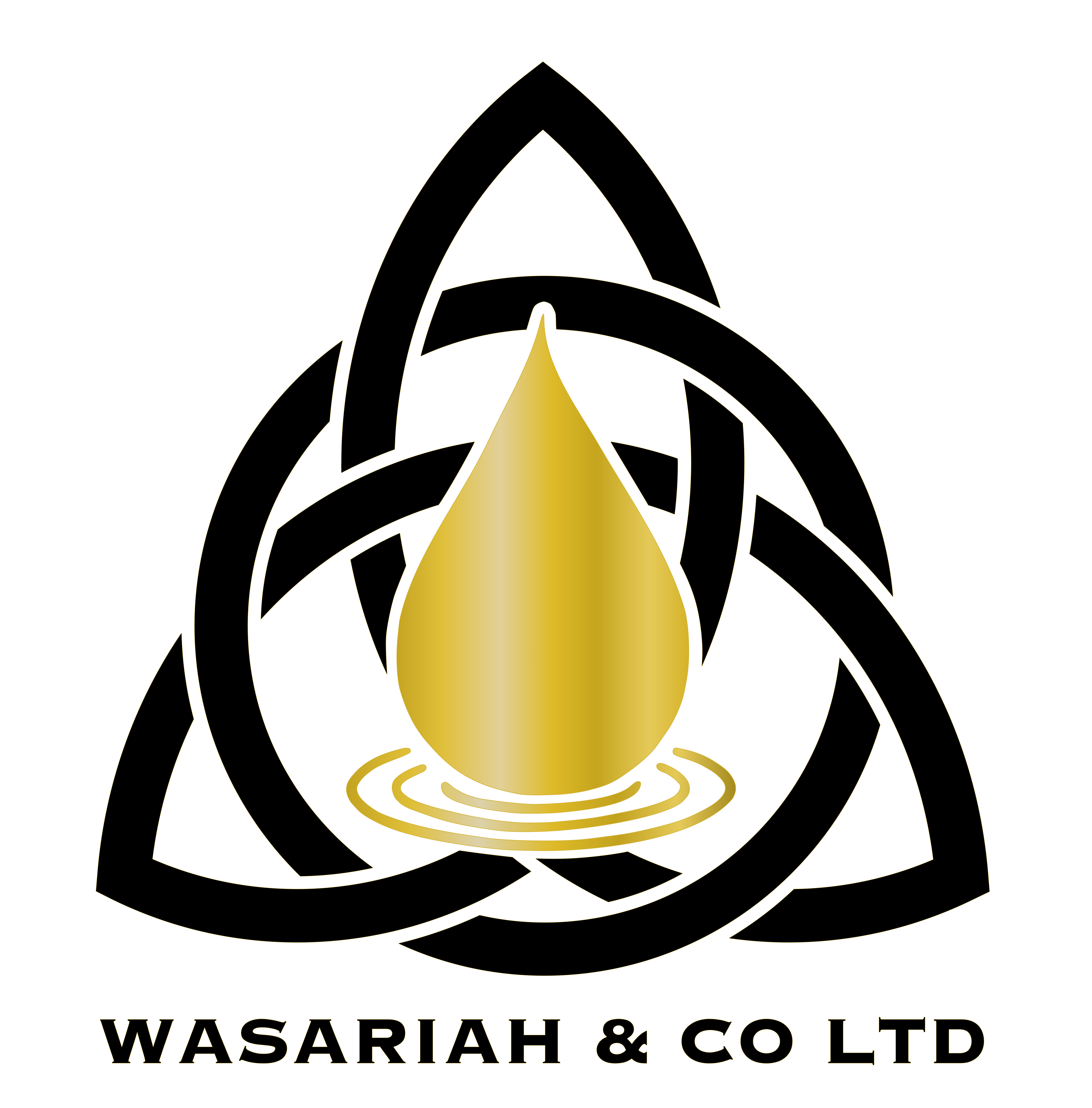 Wasariah & Co Ltd logo